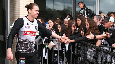 Two Blues Link to Magpies